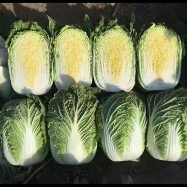 白菜大白菜黄心大白菜