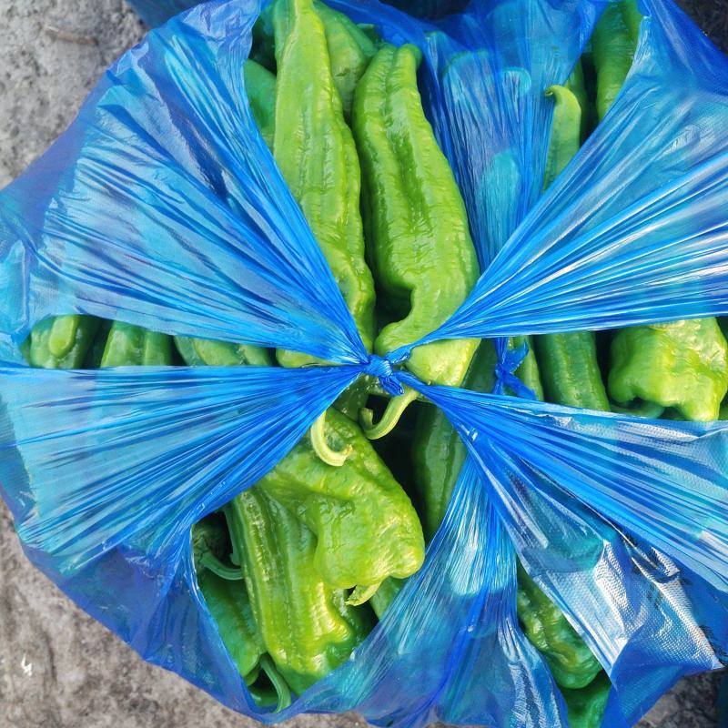 各类精品辣椒