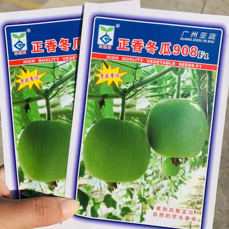 正香冬瓜908芋香冬瓜种籽小型冬瓜种子香芋味冬瓜耐热高产