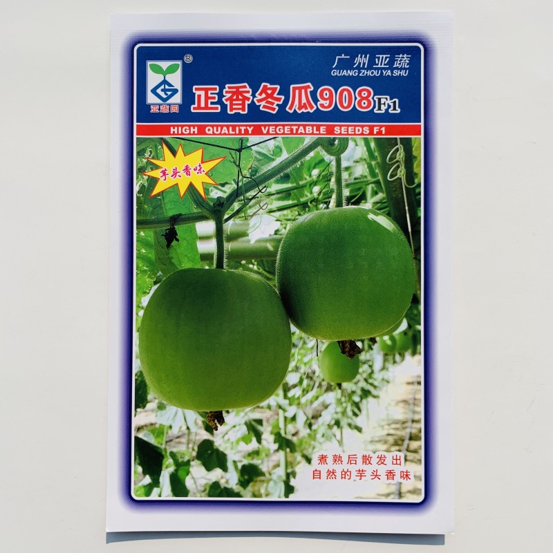 正香冬瓜908芋香冬瓜种籽小型冬瓜种子香芋味冬瓜耐热高产