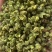 【包邮】5斤起售特麻云南青花椒青麻椒金阳青花椒转红椒