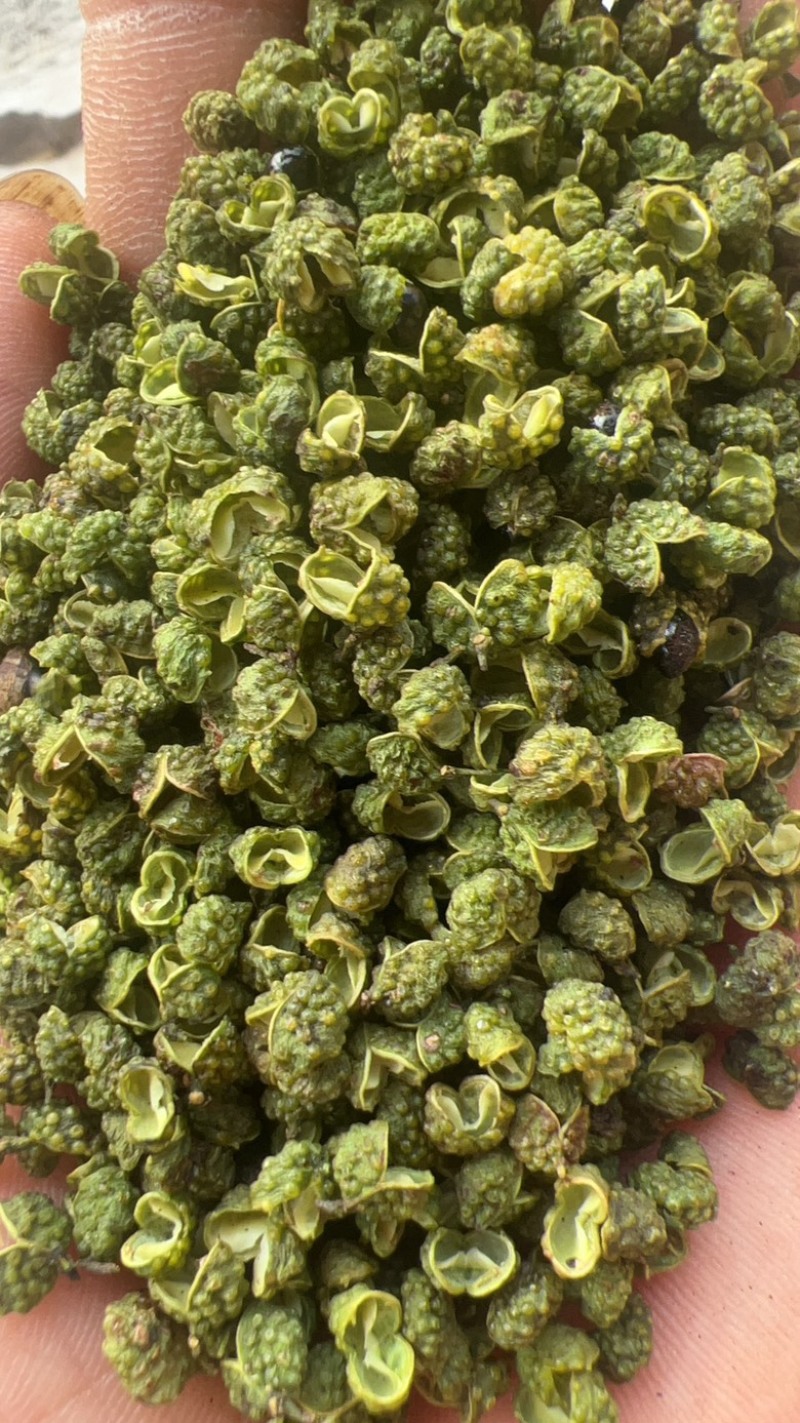 【包邮】5斤起售特麻云南青花椒青麻椒金阳青花椒转红椒