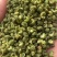 【包邮】5斤起售特麻云南青花椒青麻椒金阳青花椒转红椒