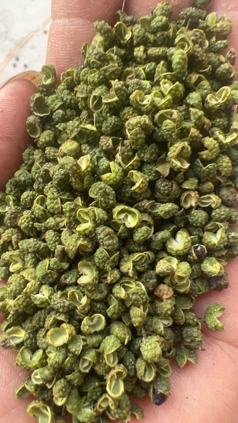 【包邮】5斤起售特麻云南青花椒青麻椒金阳青花椒转红椒