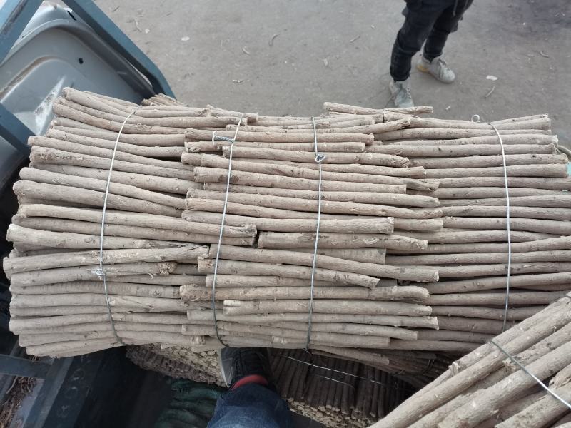 正品保障厂家直销黄芪规格齐全满足需求