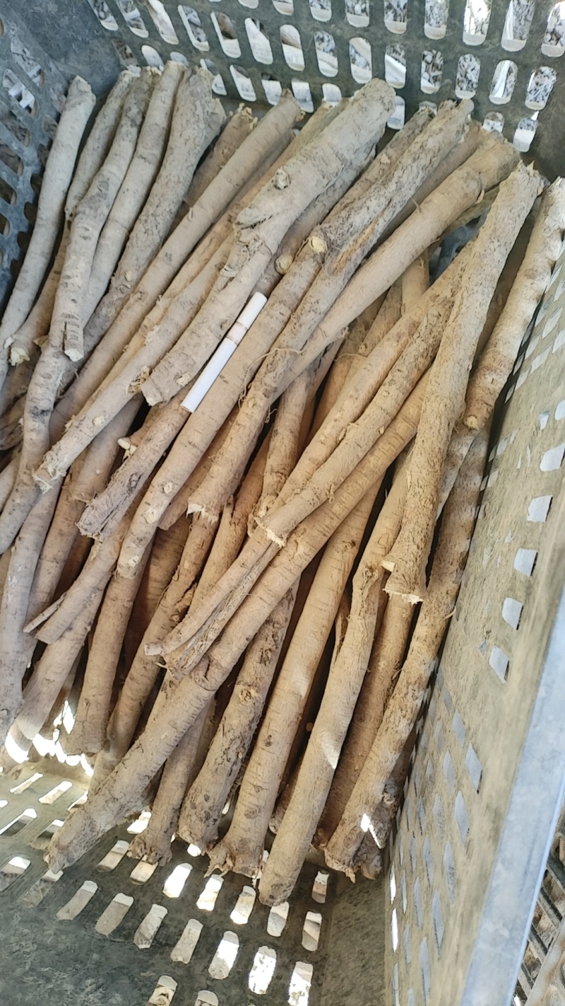 正品保障厂家直销黄芪规格齐全满足需求