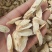 甘肃本地黄芪指甲片，产地直发，黄心，质量有保障