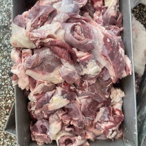 【热卖推荐】羊肉羔羊腩肉大块肉价格不高厂家批发欢迎合作