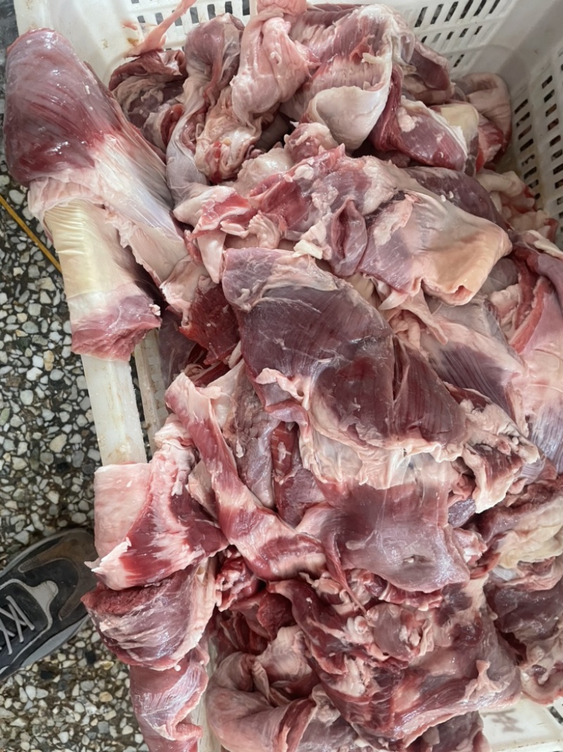【热卖推荐】羊肉羔羊腩肉大块肉价格不高厂家批发欢迎合作