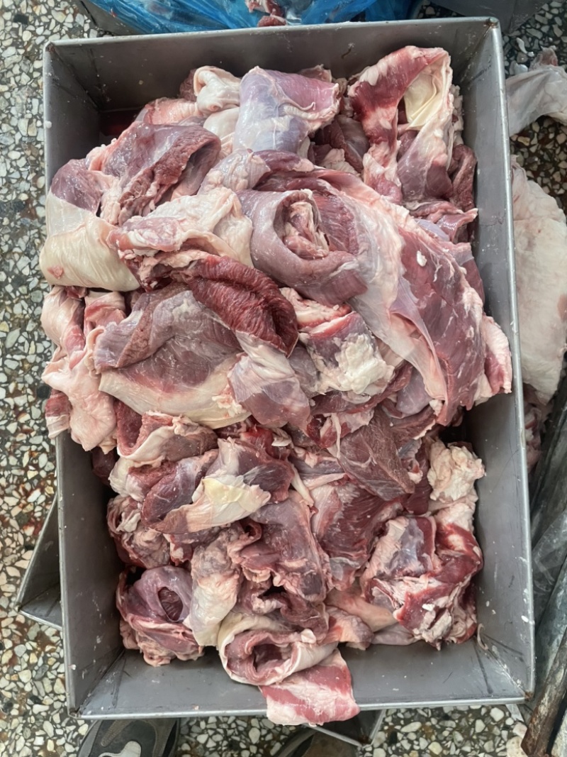 【热卖推荐】羊肉羔羊腩肉大块肉价格不高厂家批发欢迎合作