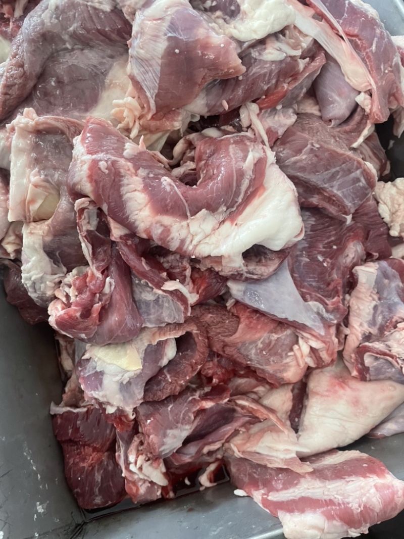 【热卖推荐】羊肉羔羊腩肉大块肉价格不高厂家批发欢迎合作