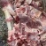 【热卖推荐】羊肉羔羊腩肉大块肉价格不高厂家批发欢迎合作