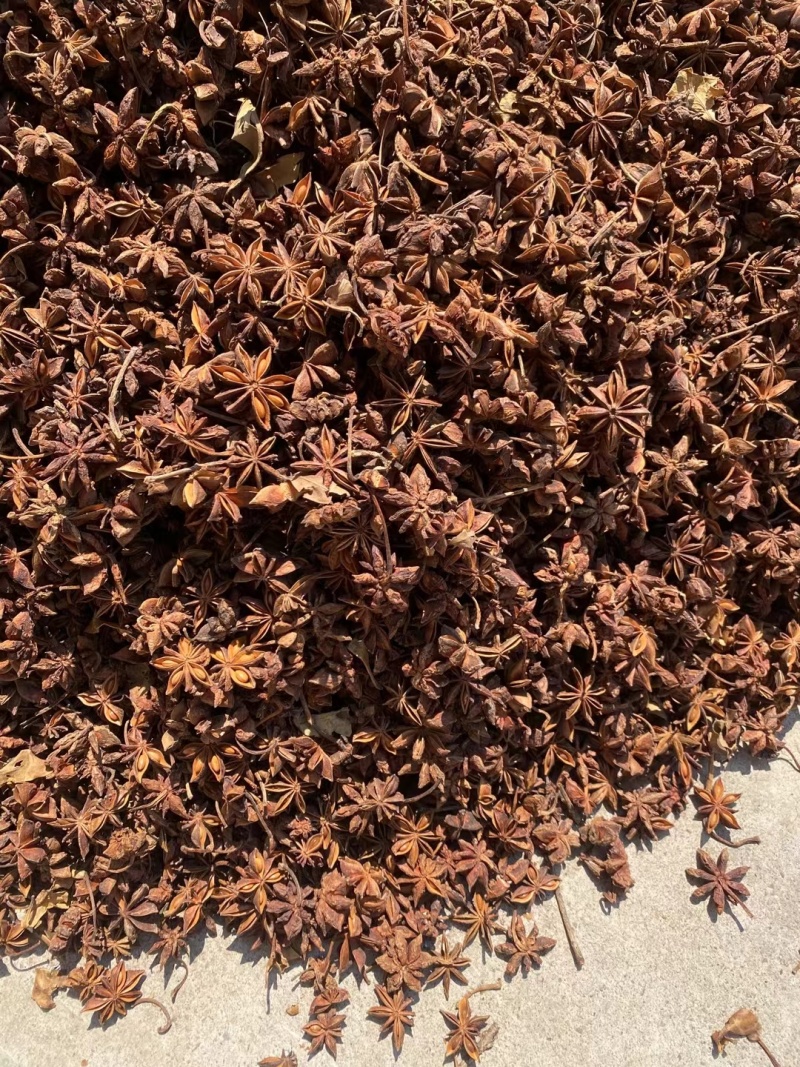 足干无硫通货，百色果