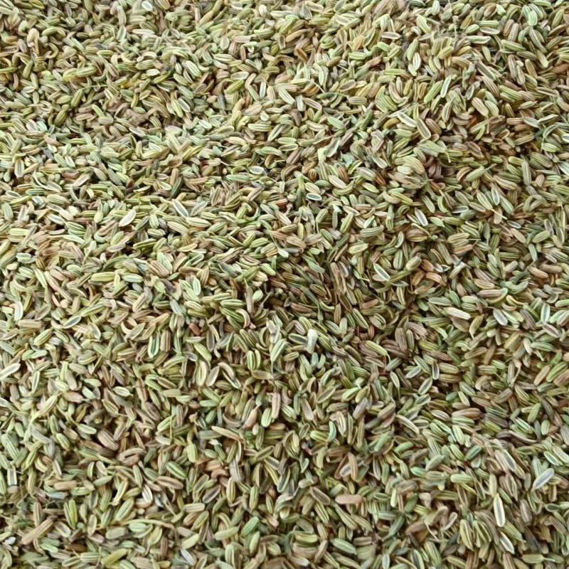 小茴香高原高品质茴香