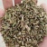 小茴香高原高品质茴香
