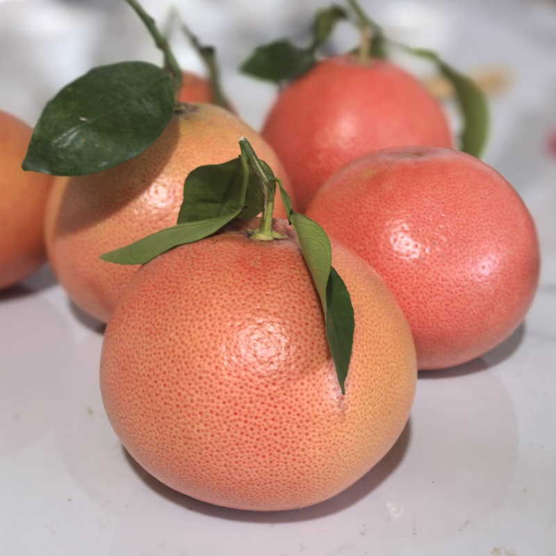福建西柚红宝石西柚茶饮西柚切片西柚各规格现货一手货源