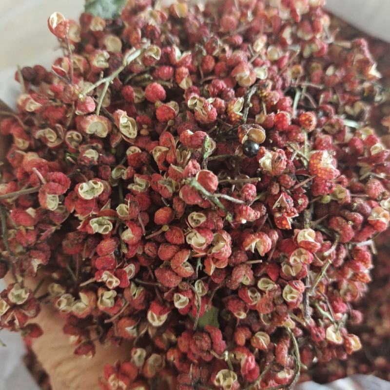 韩城大红袍花椒，规格齐全，先进设备加工！欢迎选购咨询！