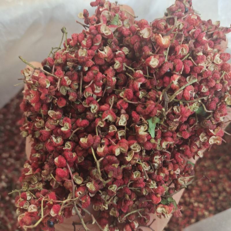 韩城大红袍花椒，规格齐全，先进设备加工！欢迎选购咨询！