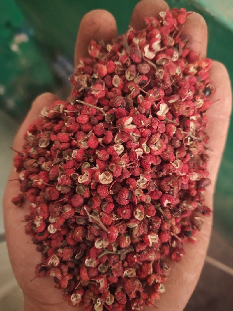 韩城大红袍花椒，规格齐全，先进设备加工！欢迎选购咨询！