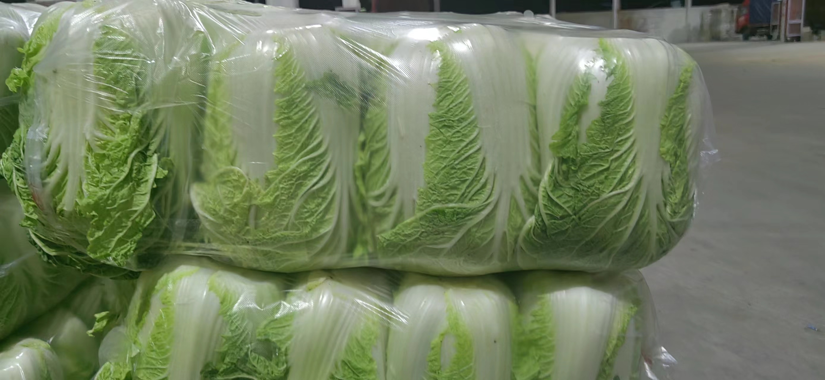 一个农贸市场内的蔬菜摊位,摆放着多颗新鲜黄心白菜,菜心部分被特意露出展示,顾客正在挑选,背景有标价牌显示‘黄心白菜 3.5元/斤’ 市场上的黄心白菜摊位