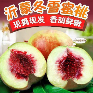 山东济宁
