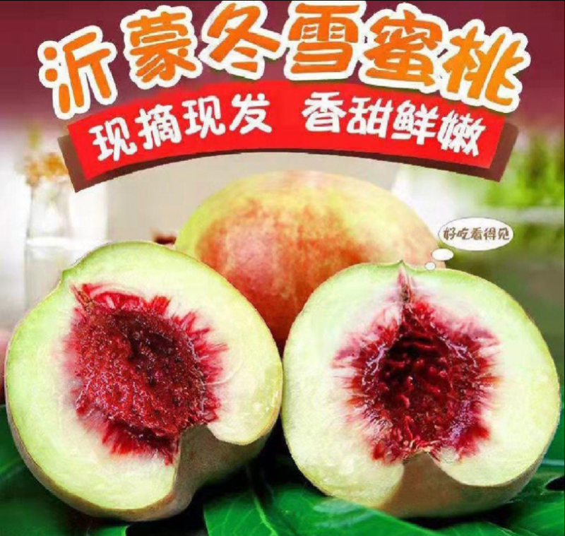 山东济宁