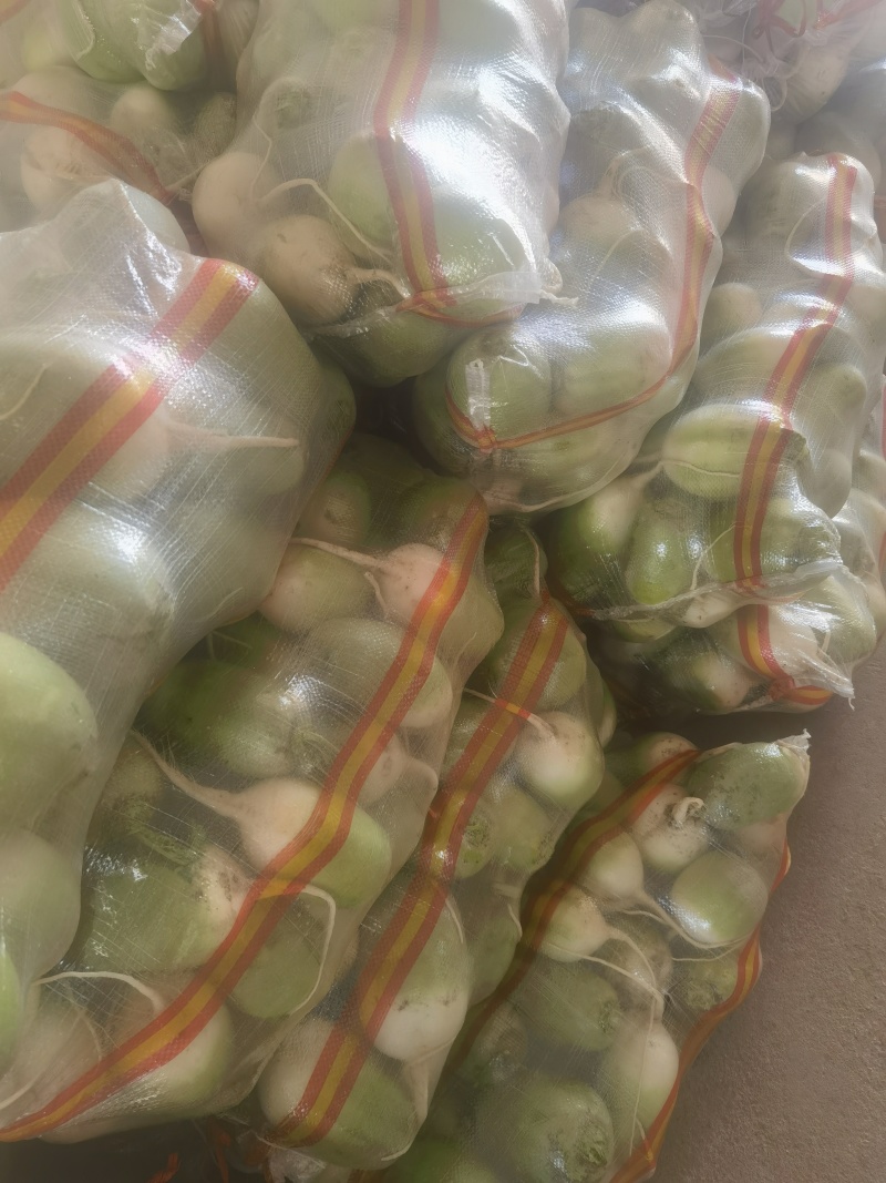 品名791罐萝卜大量供应产地一手货源充足质量保证
