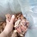 食用菌干货榆耳，批发榆耳大量现货代收代存