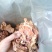 食用菌干货榆耳，批发榆耳大量现货代收代存