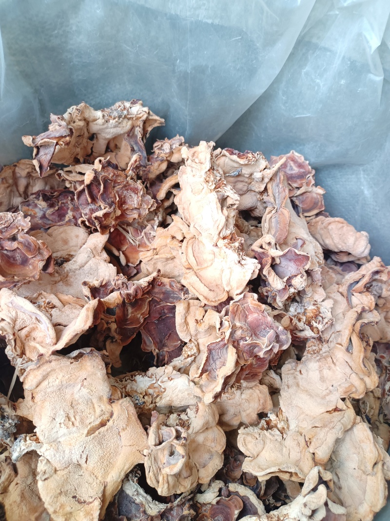 食用菌干货榆耳，批发榆耳大量现货代收代存
