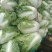 鸡腿大白菜