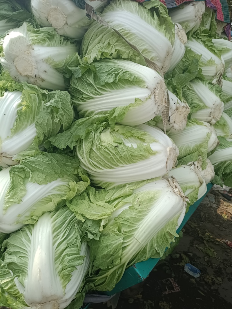 鸡腿大白菜