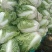 鸡腿大白菜