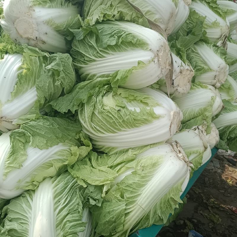 鸡腿大白菜