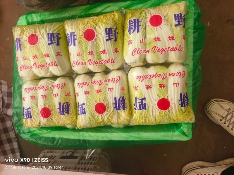 本地区有大小娃娃菜，常年供应货源不短，有需要的老板可以联