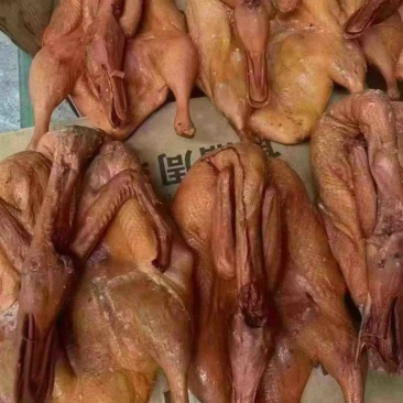八成熟卤板鸭一件50斤，需要加工可以卖