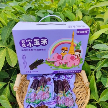 精品紫糯小玉米。口感香甜数量多多。原生态种植基地
