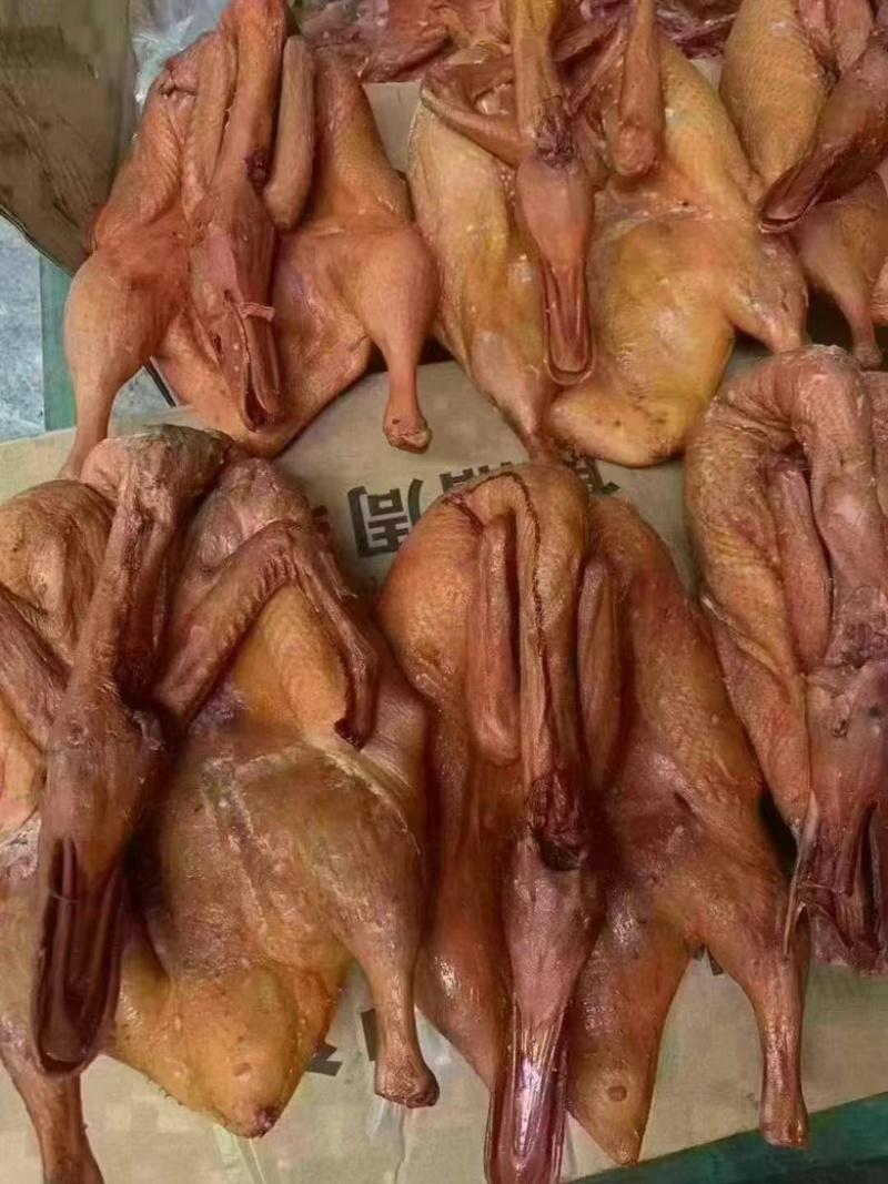 八成熟卤板鸭一件50斤，需要加工可以卖