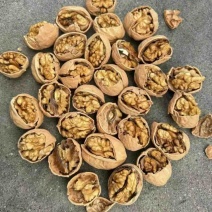 新疆核桃