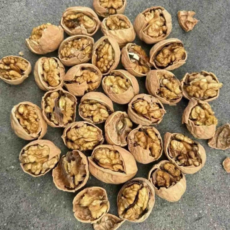 新疆核桃