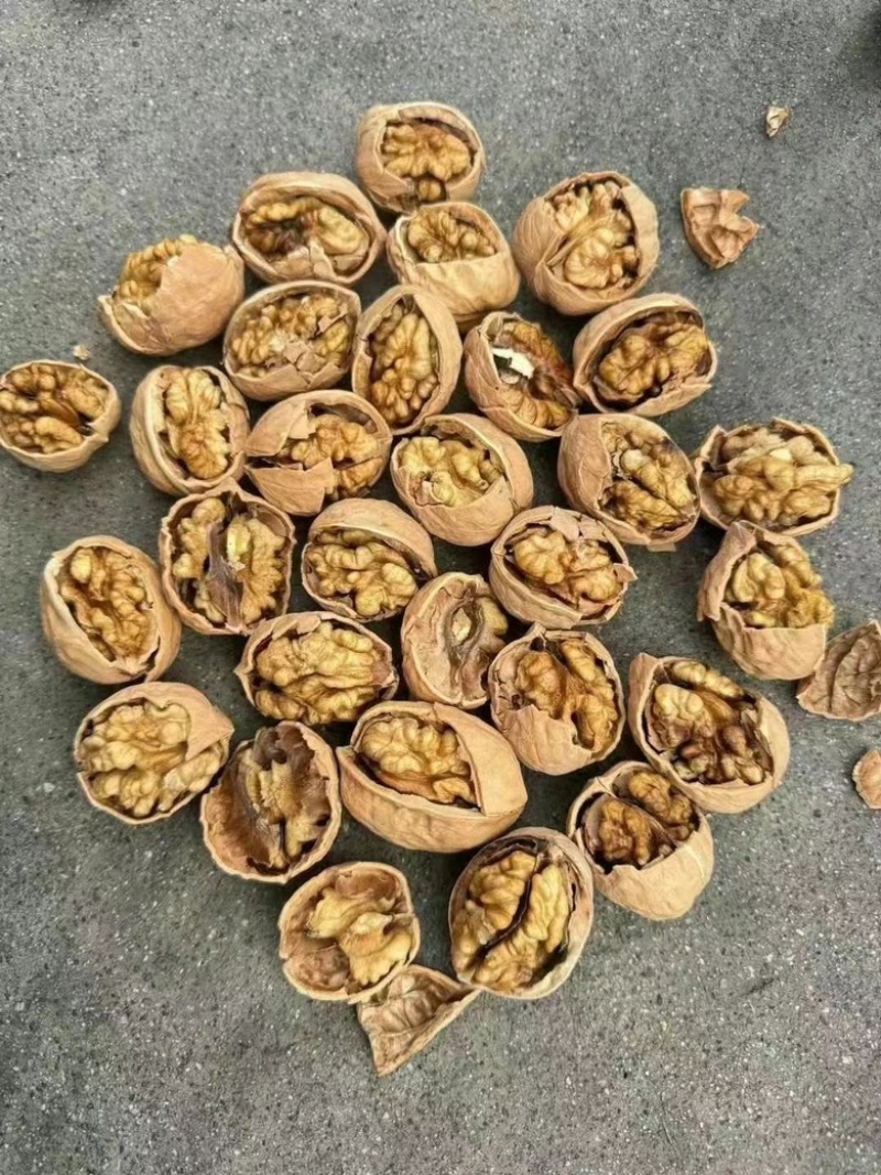 新疆核桃