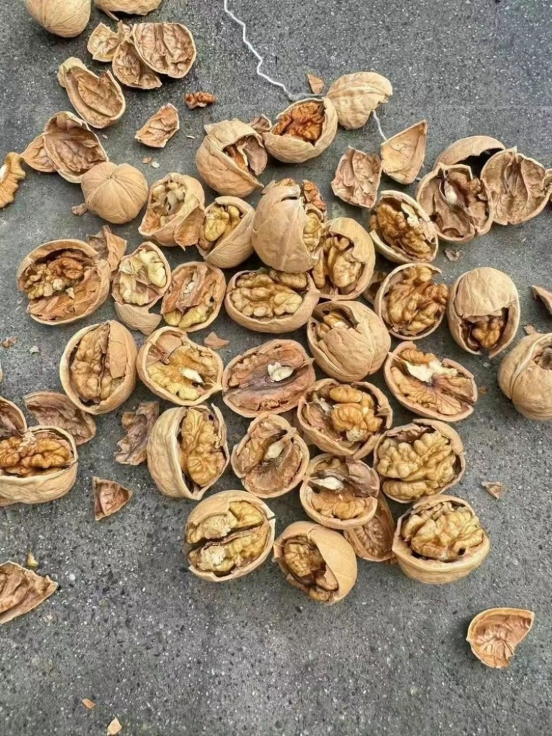 新疆核桃