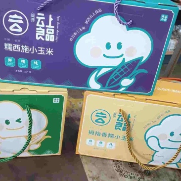 云上食品香糯玉米，糯金宝小玉米，糯壮元，母指糯，品种多多