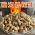 木柴炒花生小炉炒花生支持各电商平台一件代发