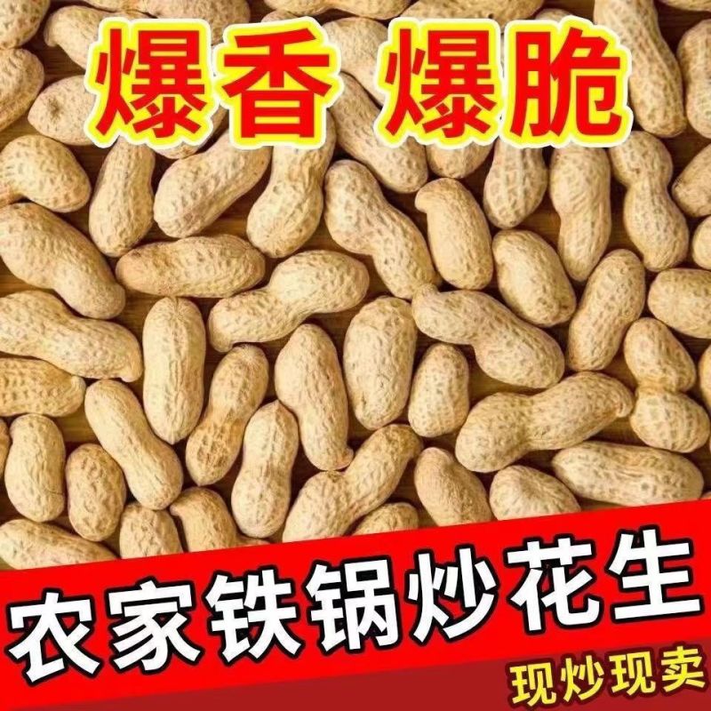 木柴炒花生小炉炒花生支持各电商平台一件代发