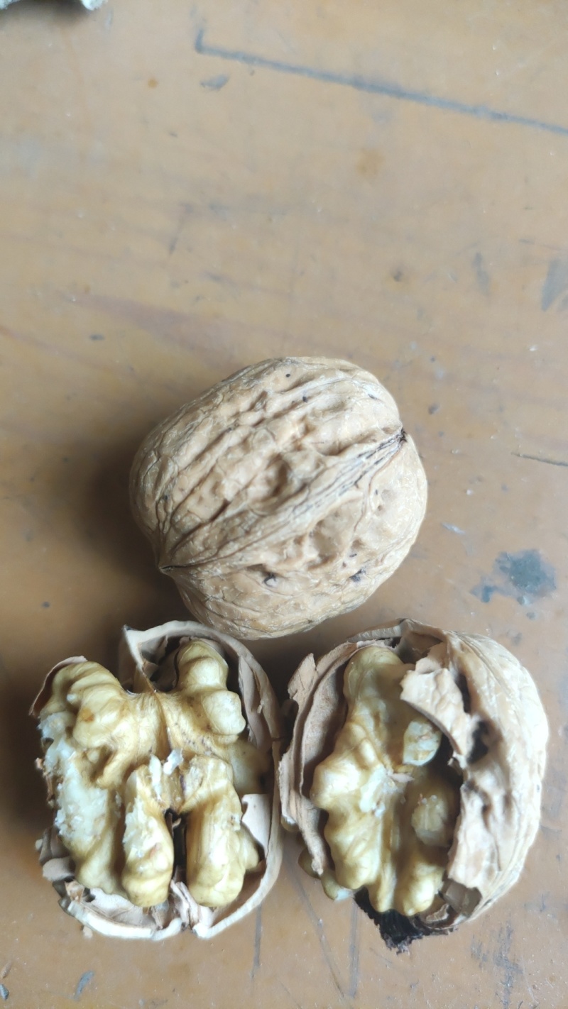 木柴炒花生小炉炒花生支持各电商平台一件代发