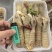 新鲜腌制皮皮虾虾爬子盐卤生呛醉虾爬酱虾即食生吃海鲜东港