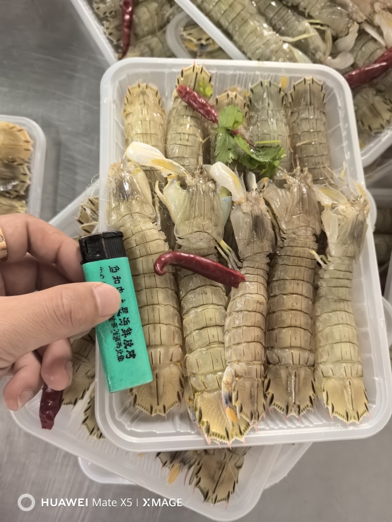 新鲜腌制皮皮虾虾爬子盐卤生呛醉虾爬酱虾即食生吃海鲜东港