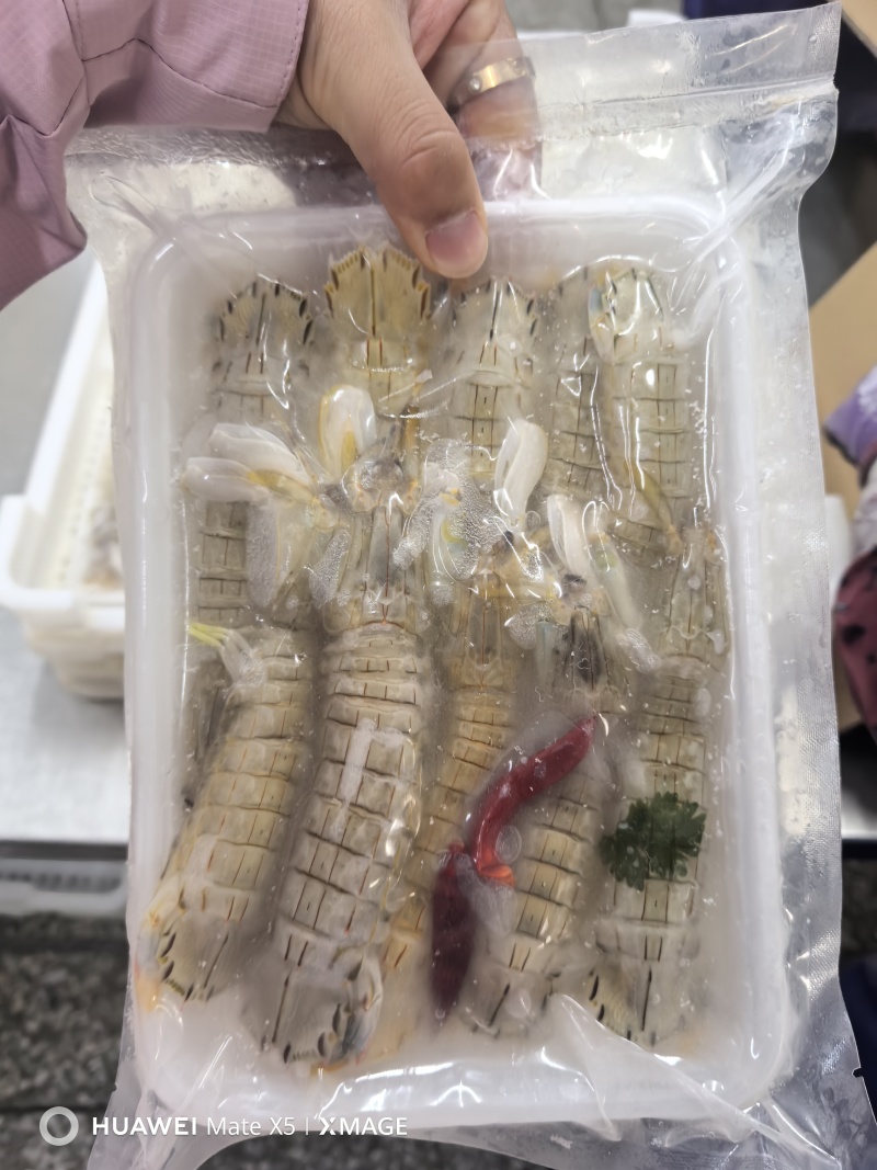 新鲜腌制皮皮虾虾爬子盐卤生呛醉虾爬酱虾即食生吃海鲜东港