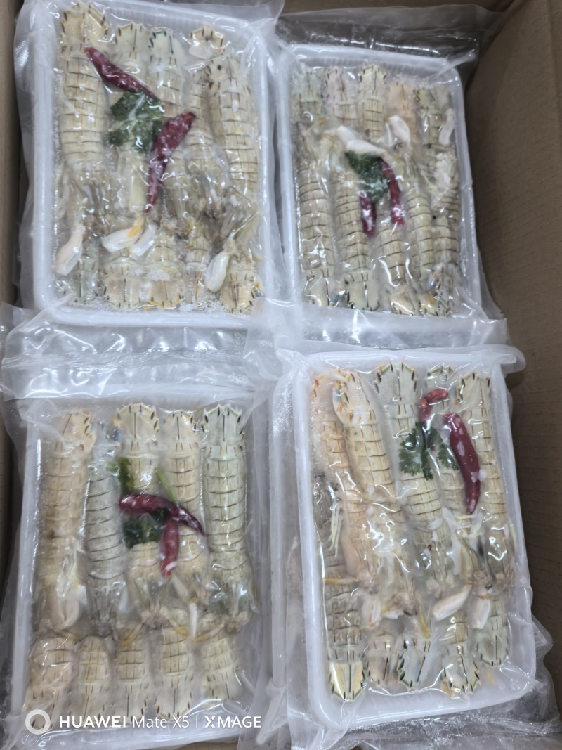 新鲜腌制皮皮虾虾爬子盐卤生呛醉虾爬酱虾即食生吃海鲜东港